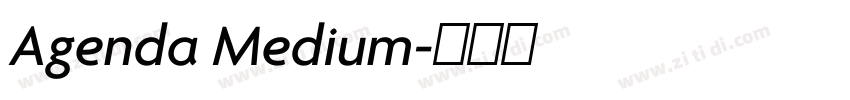 Agenda Medium字体转换